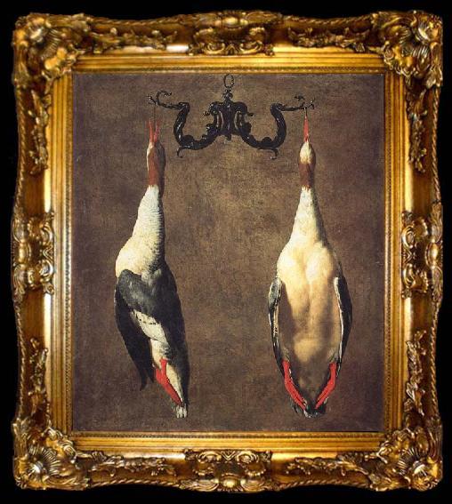 framed  Dandini, Cesare Two Hanging Mallards, ta009-2